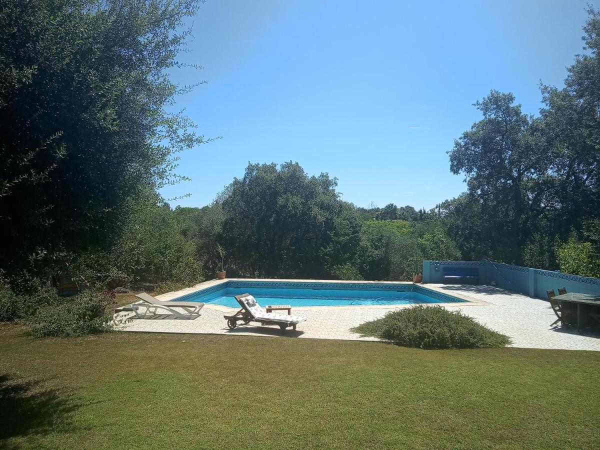 Sotogrande - Estancia En Plena Naturaleza - Abril Bagian luar foto