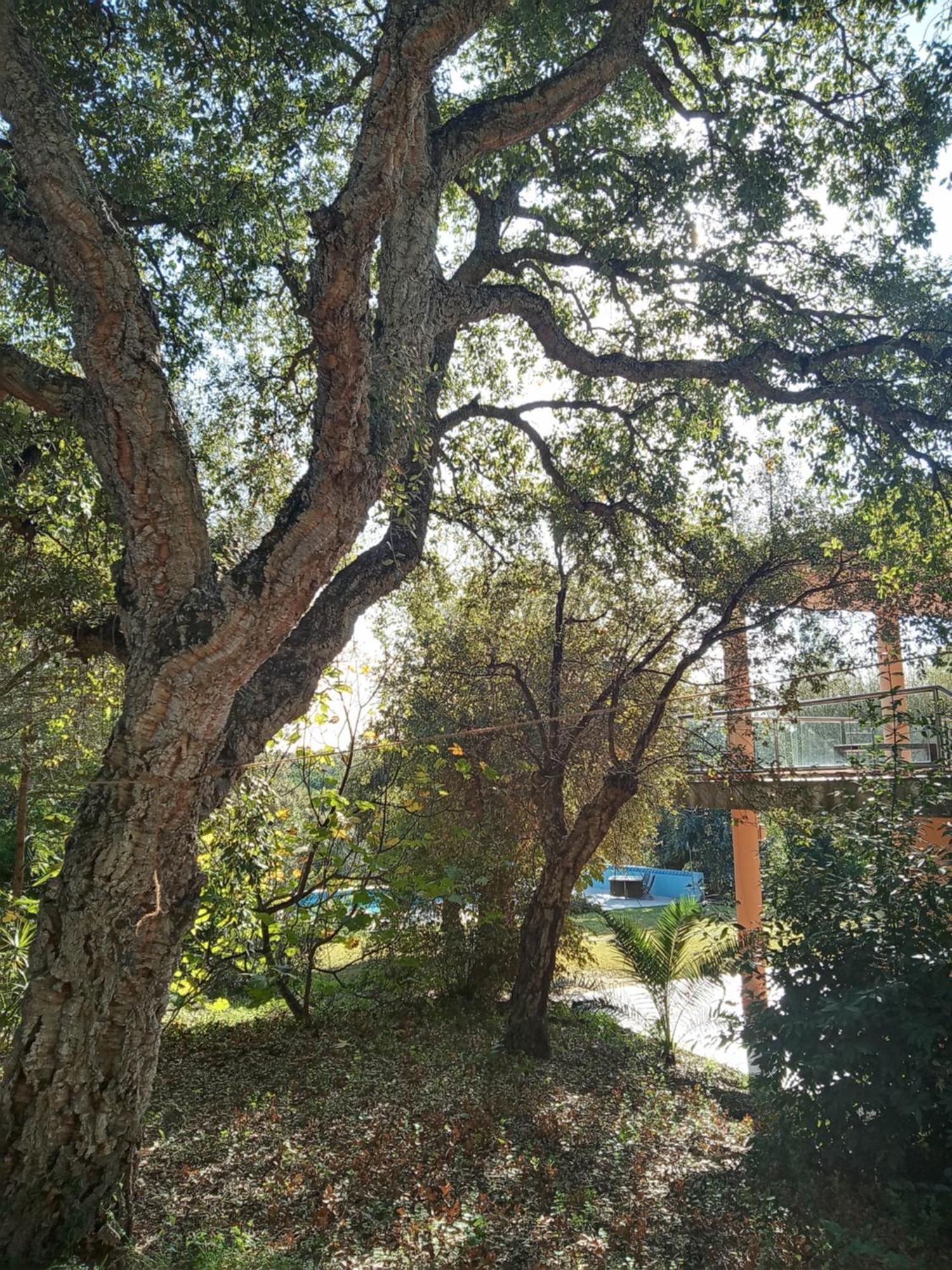 Sotogrande - Estancia En Plena Naturaleza - Abril Bagian luar foto