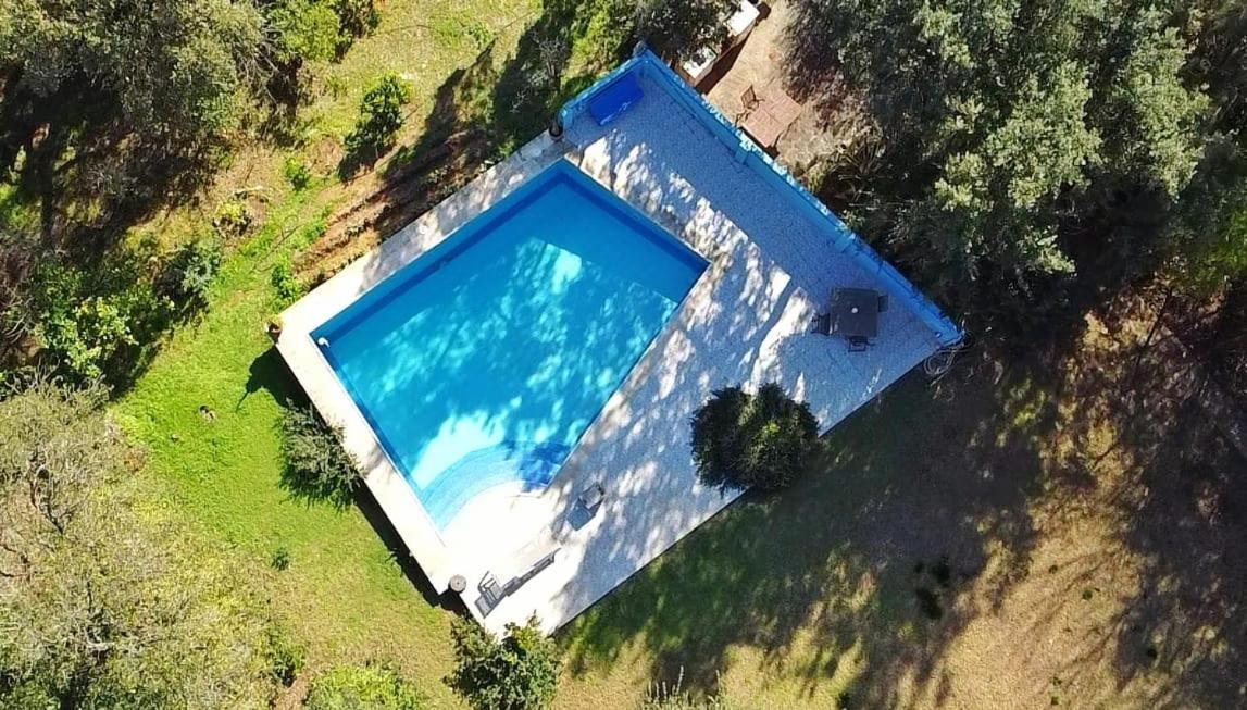 Sotogrande - Estancia En Plena Naturaleza - Abril Bagian luar foto