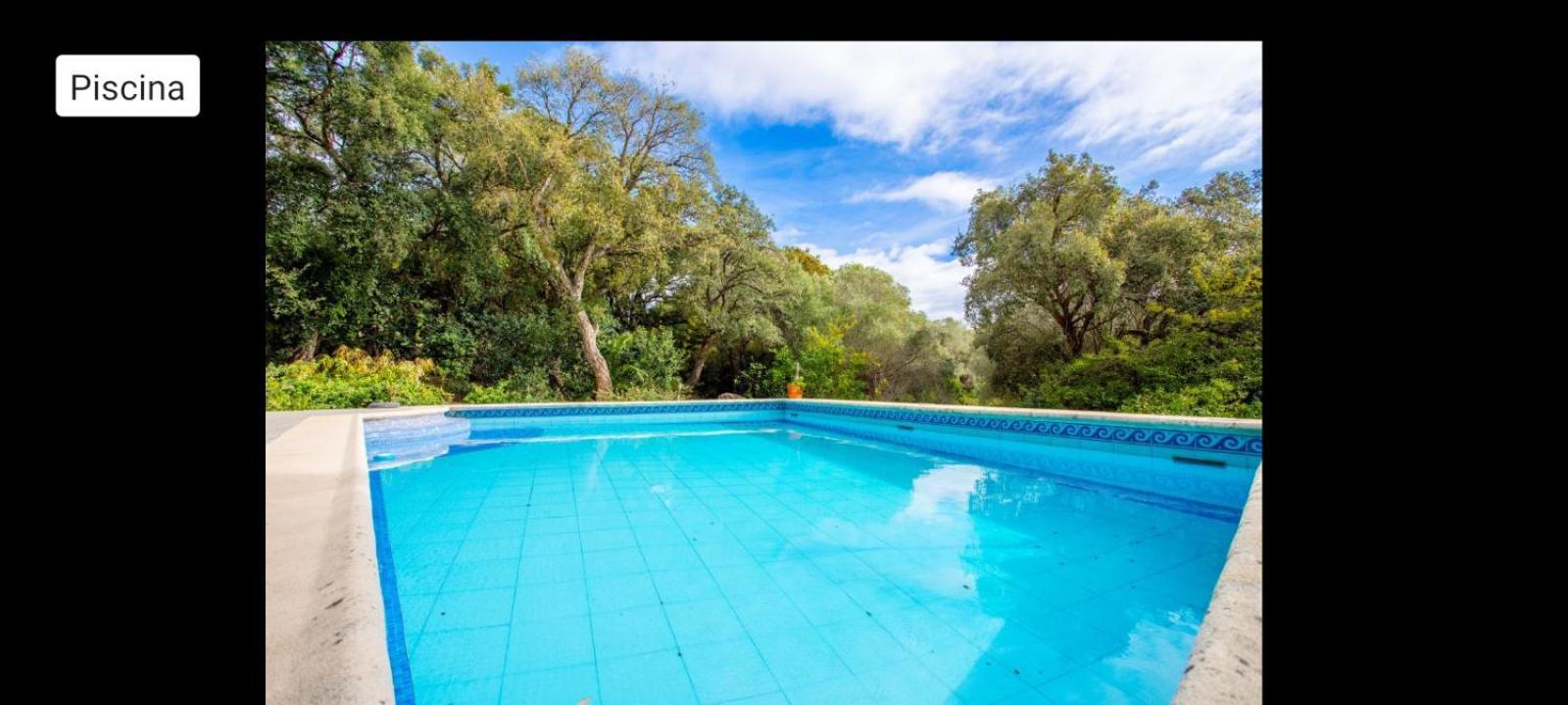 Sotogrande - Estancia En Plena Naturaleza - Abril Bagian luar foto